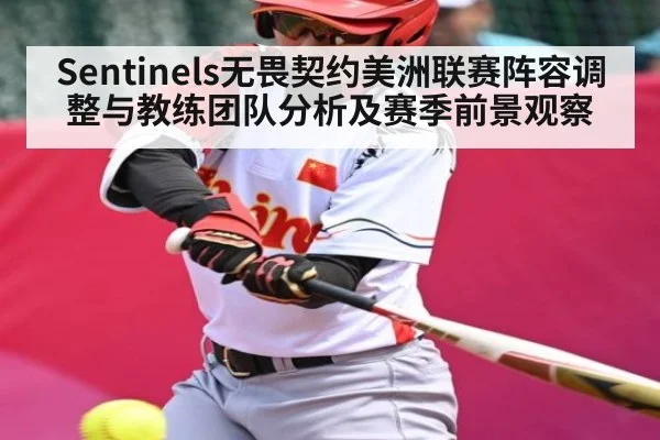 Sentinels无畏契约美洲联赛阵容调整与教练团队分析及赛季前景观察